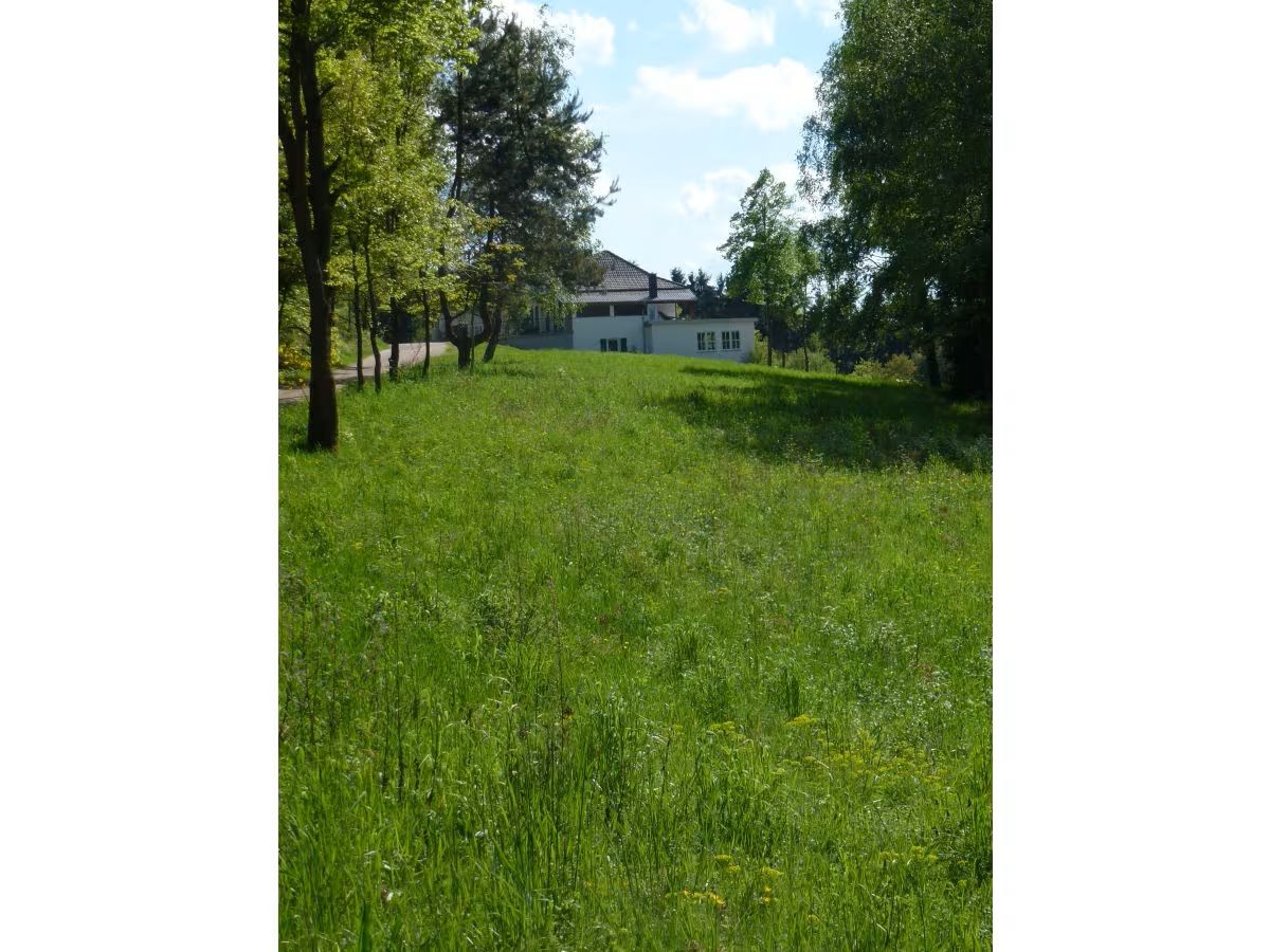 Ferienhaus Zum alten Forsthaus