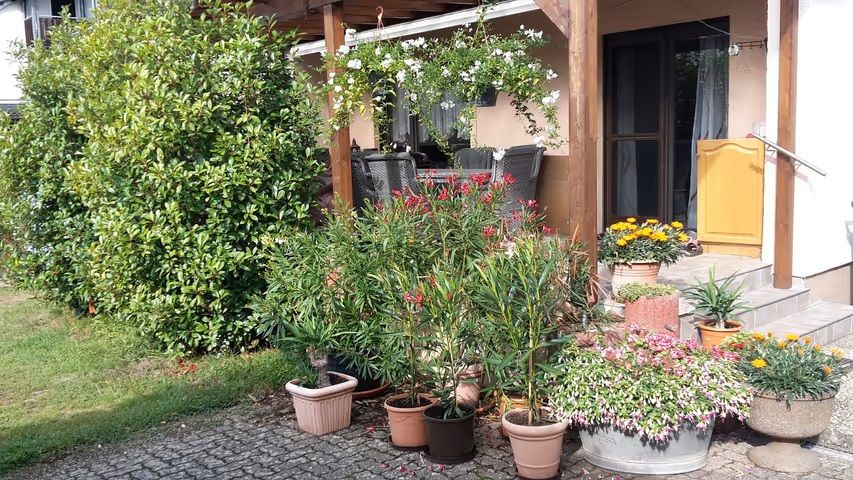 Ferienwohnung Burgenblick