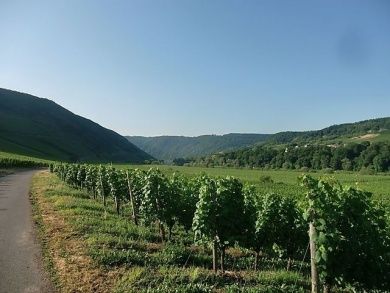 Mosel-Wochenende - Kurzurlaub an der Mosel