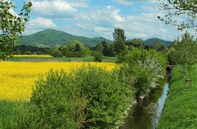 Wald-Michelbach