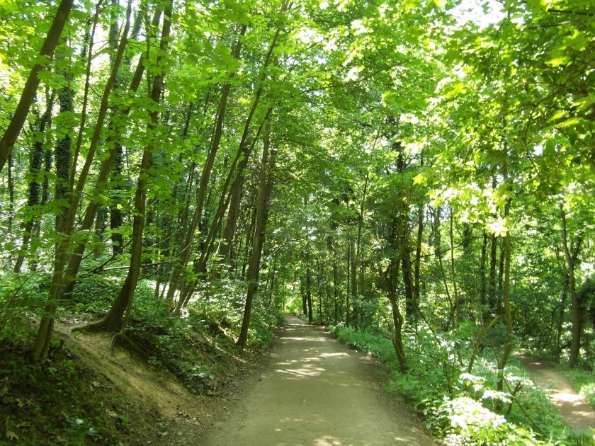 Urlaub in der Ferienregion Odenwald-Bergstraße