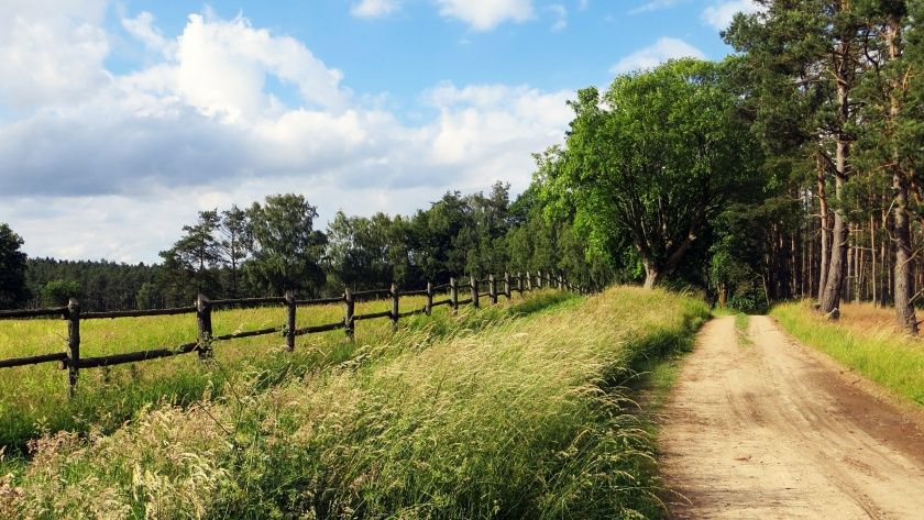 Urlaub in der Ferienregion Vogelsberg