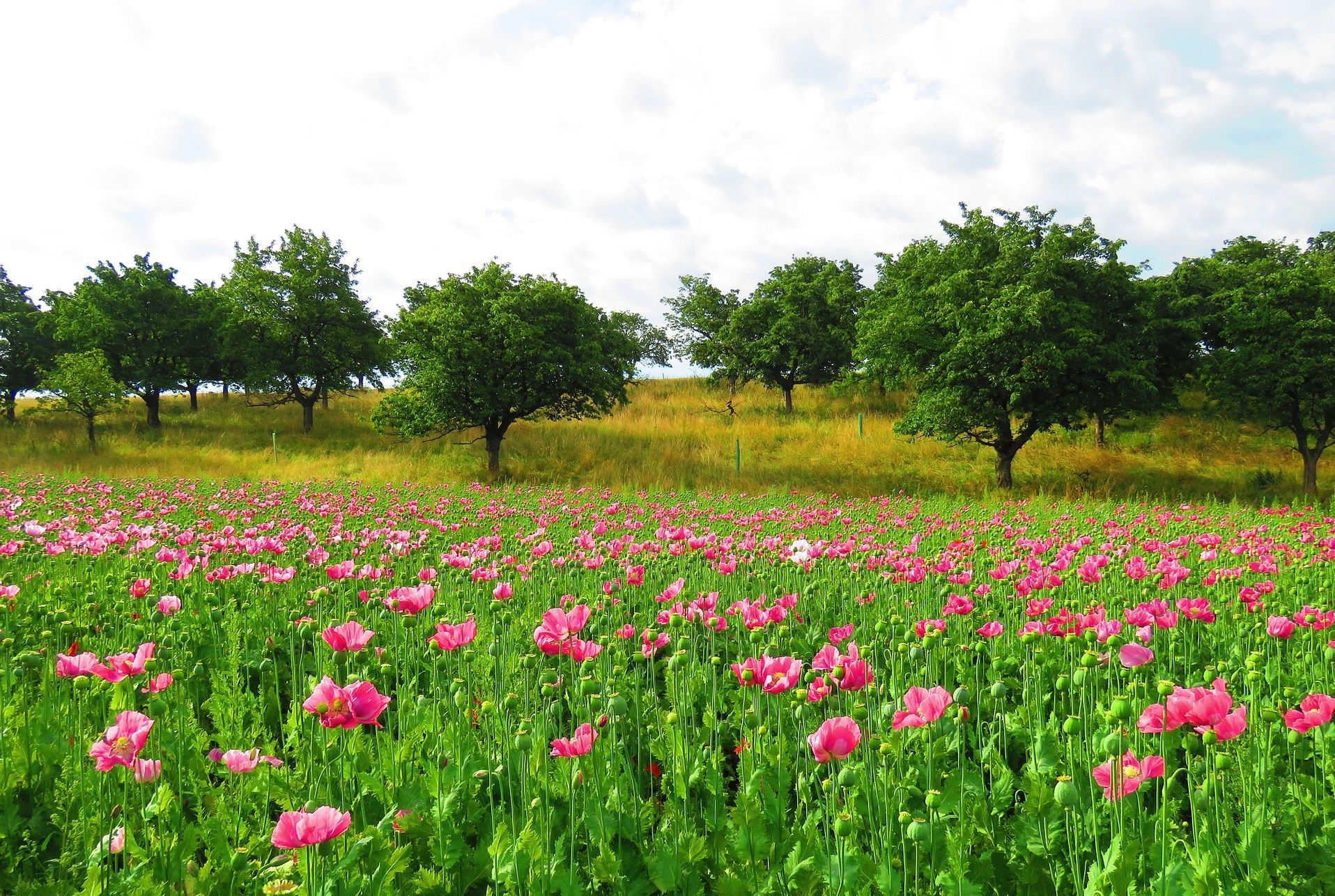Urlaub in der Urlaubsregion Waldhessen