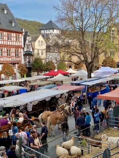 Bauernmarkt mit verkaufsoffenen Sonntag