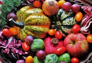 Haller Herbst