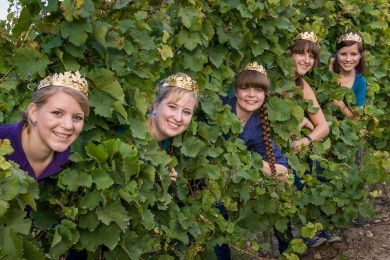 Alzeyer Weinberghäuschen Wanderung