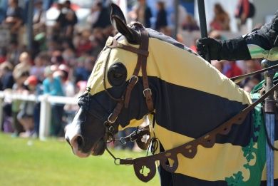 Historisches Burgenfest Manderscheid