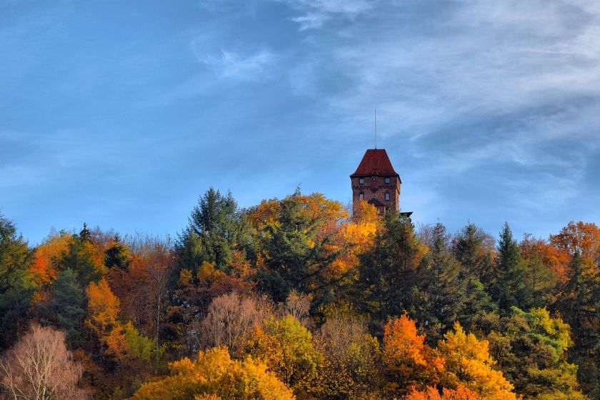 Veranstaltungen im Dahner Felsenland