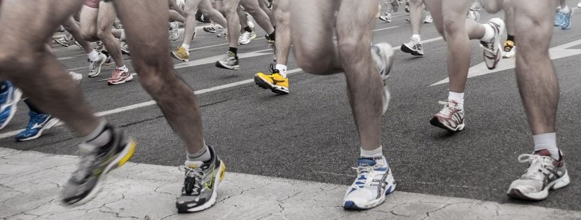Pfälzerwald-Marathon