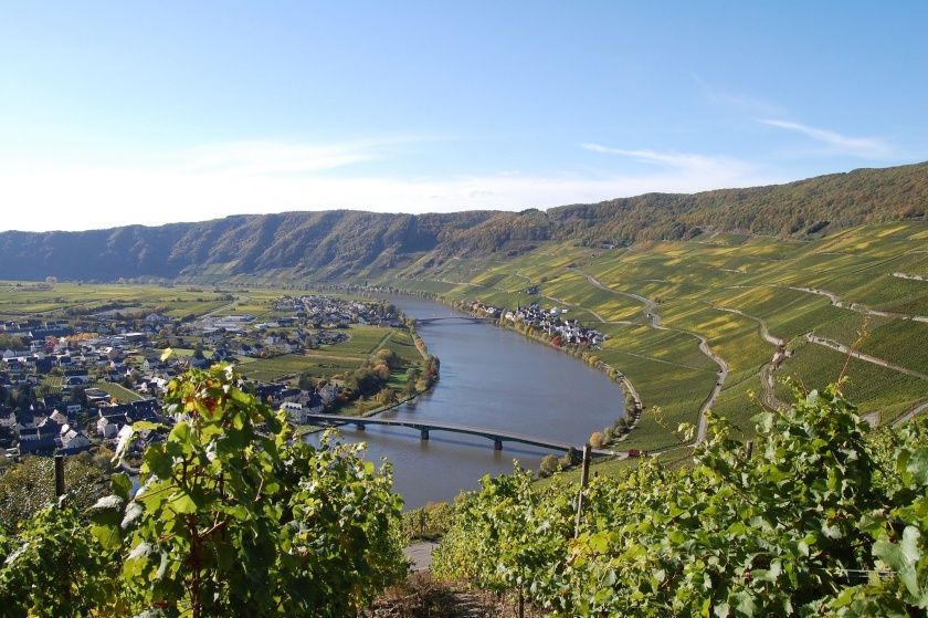 Weinlesefest in Minheim Weinlesefest in Minheim