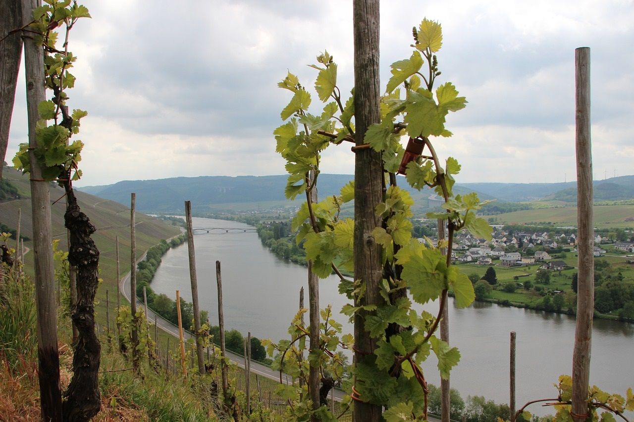 Fest der Römischen Weinstraße