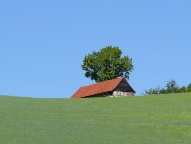 ringgau.jpg