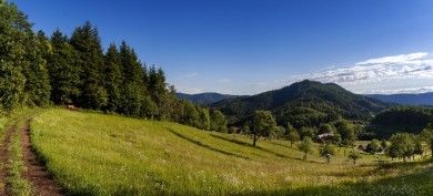 Teufelskanzelsteig