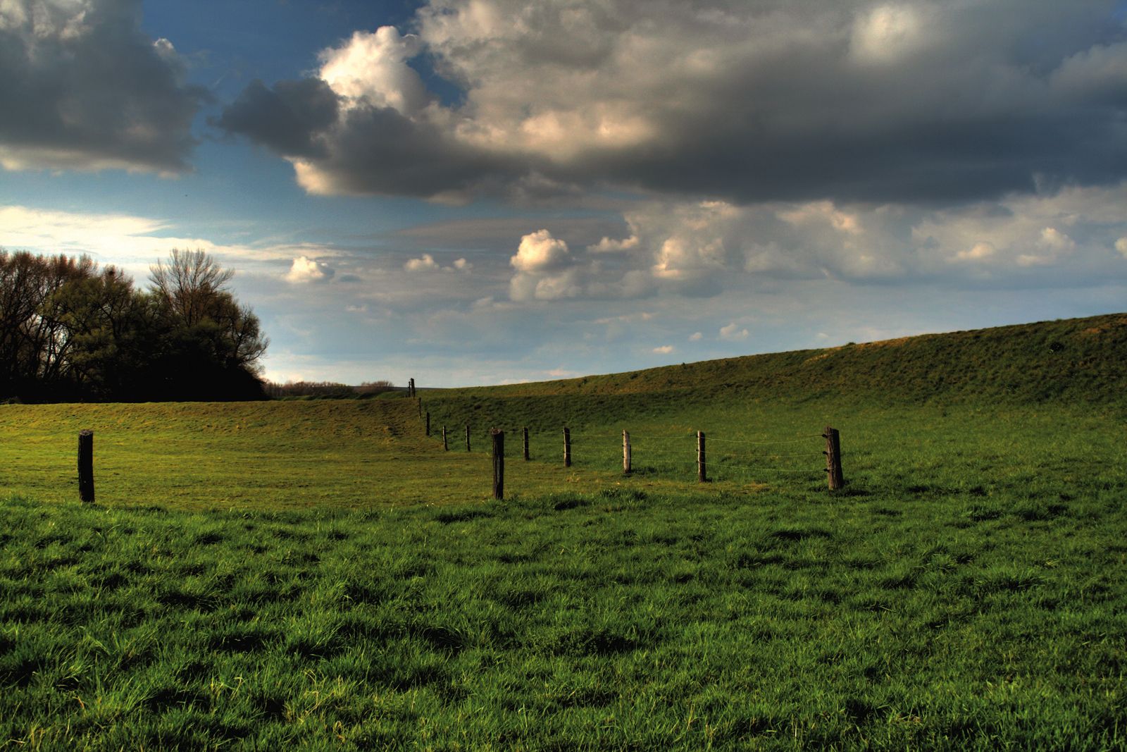Riedwanderung