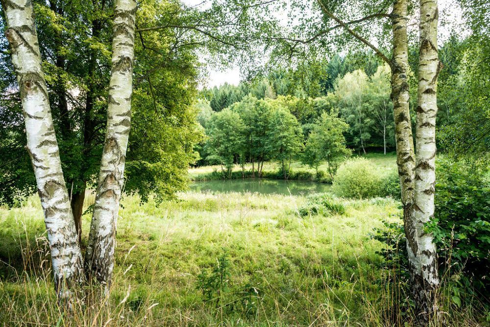 Wäller Tour Iserbachschleife