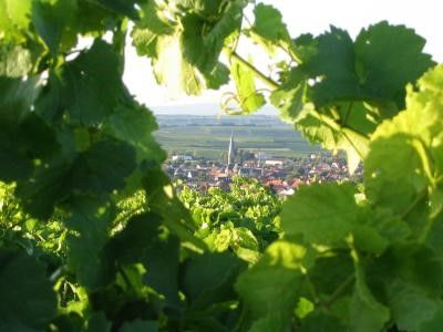 Hiwweltour Westerberg