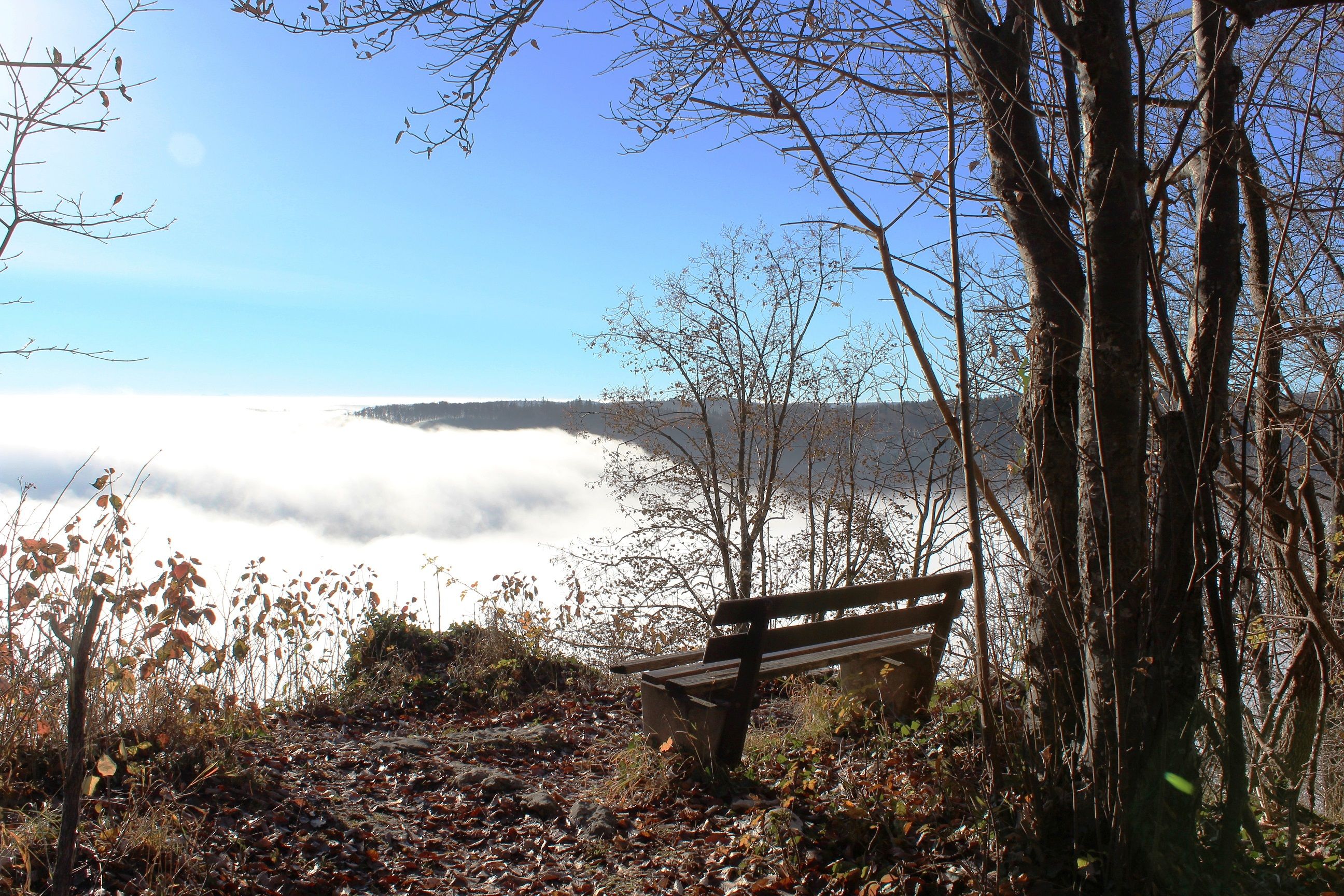 Traufgang Felsenmeersteig in Albstadt